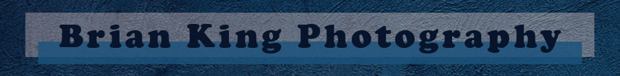 Brian King Photography website banner